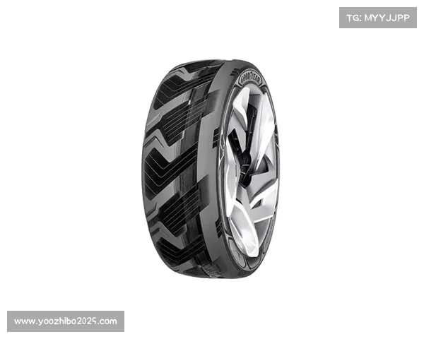 创新篮球鞋科技助力性能提升与环保可持续发展 创新篮球鞋科技助力性能提升与环保可持续发展